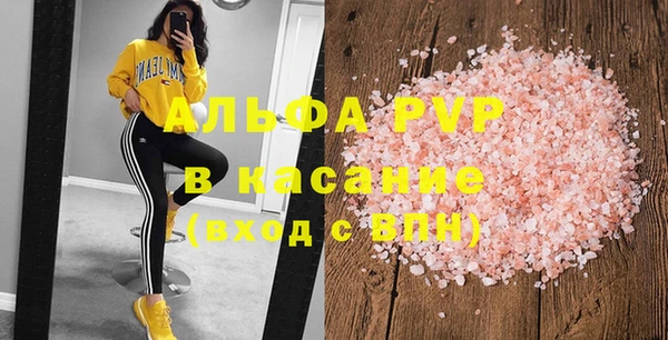 стаф Белокуриха