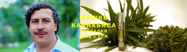 стаф Белокуриха