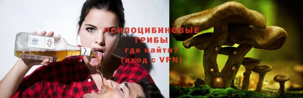 стаф Белокуриха