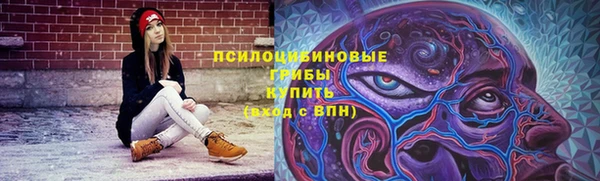 стаф Белокуриха