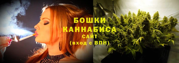 стаф Белокуриха