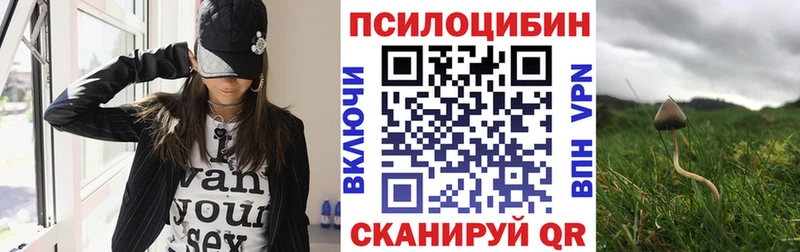 Галлюциногенные грибы Magic Shrooms  цена наркотик  KRAKEN   Олёкминск 